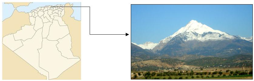 AJB (21-008) Yahiaoui et al